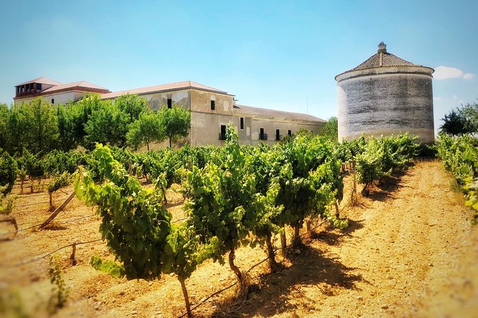 Discover the Authentic Wine Culture of Rueda - Winemaking Techniques and Tradition