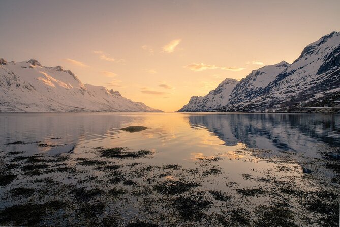Discover the Fjords of Kvaloya - a Roadtrip Along Fjords and Fishing Villages - Cancellation Policy for the Tour