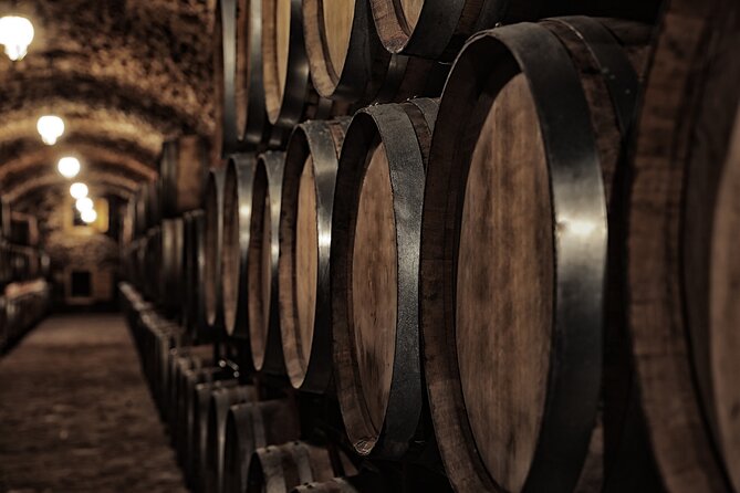 Discover the Winery and Taste Fine Wine in Extremadura - Unique Terroir and Grape Varieties