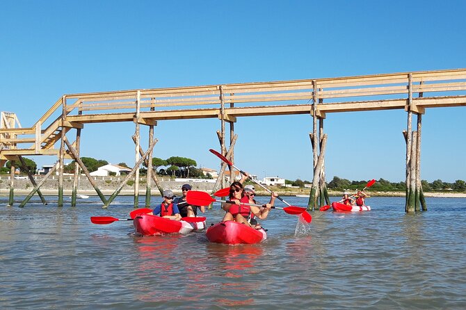 Discovery Kayak 17 Family Sea Kayak Trip - Meeting and Pickup