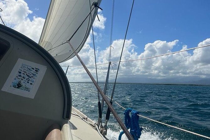 Discovery of the Great Lagoon by Sail, Very Small Stopovers - Captivating Wildlife Encounters