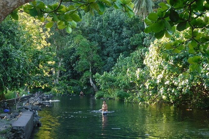 Discovery of the West Coast of Heipoerau Half Day Private - Private Guide and Transportation