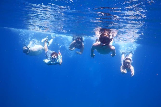 Discovery Scuba Diving & Snorkeling at Nha Trang Bay - Activity Information