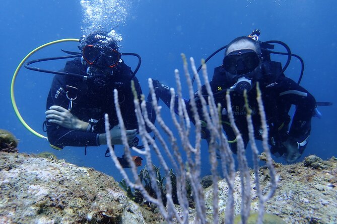 Diving Baptism in the Montgrí Natural Park - Additional Information