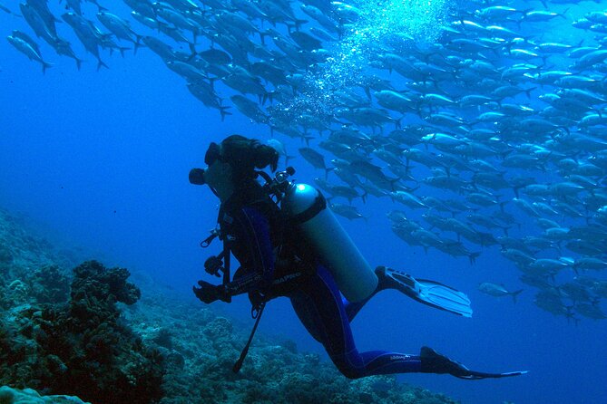 Diving Day - Traveler Photos and Visual Representation