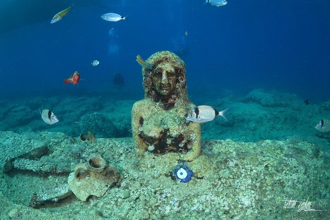 Diving Trip in Side With Underwater Museum Tour Diver Training - Pricing and Additional Details