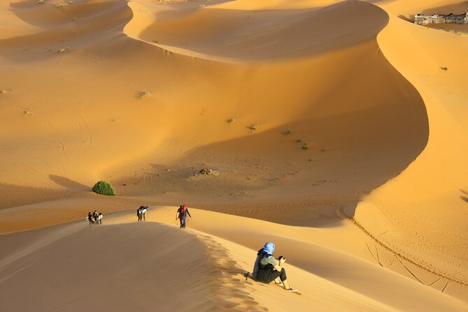 Doha Private Half-Day Guided Desert Safari Tour - Desert Activities