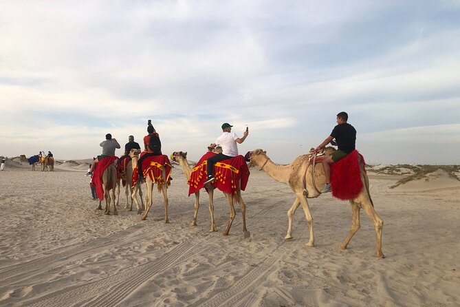 Doha, Qatar: Doha Desert Safari & City - Full Day Private Tour. - Pickup and Cancellation Policies