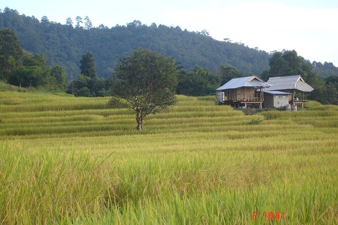 Doi Inthanon National Park and 2 Hours Hiking With Private Tour - Traveler Reviews and Ratings