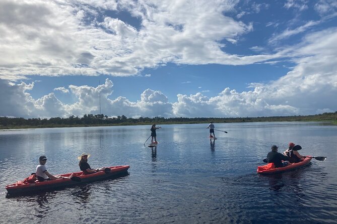 Dolphin and Manatee Adventure Tour of Osprey With Florida History - Dolphin and Manatee Encounters