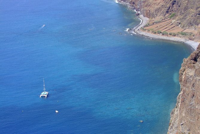 Dolphin and Whale Watching Catamaran Cruise From Funchal - Optional Activities and Excursions
