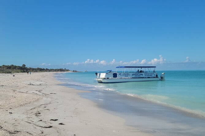 Dolphin /Shelling/Snorkeling Tours Private Charters - Inclusions of the Tour Package