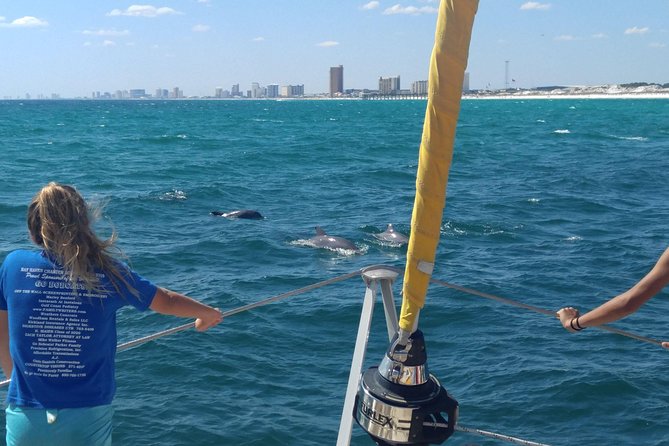 Dolphin Sightseeing Tour on the Footloose Catamaran From Panama City Beach - Tour Expectations and Additional Information
