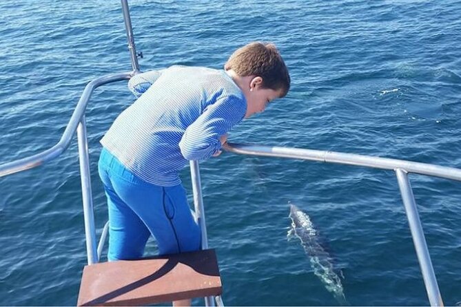Dolphin Spotting Trips in Fuengirola With Free Drinks and Snacks - Booking and Confirmation Process