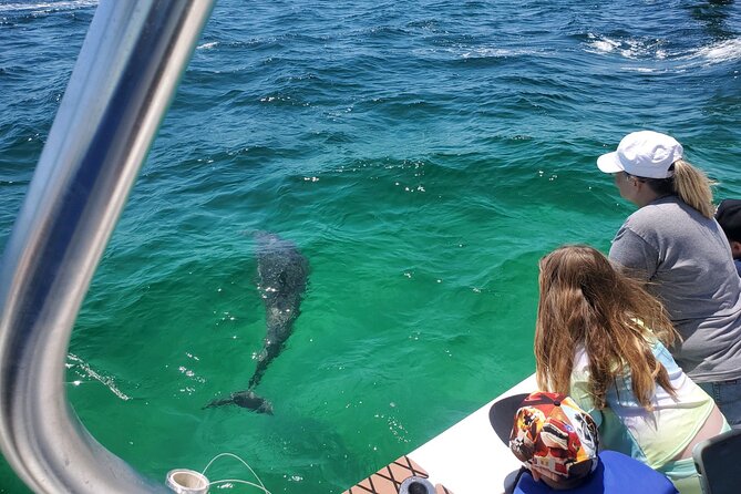 Dolphin Tour & Inshore Fishing Adventure (Flowing Water Charters) - Inclusions