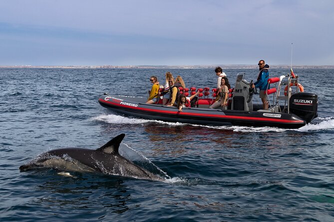 Dolphin Watching Along the Algarve Coast - Meeting and Pickup