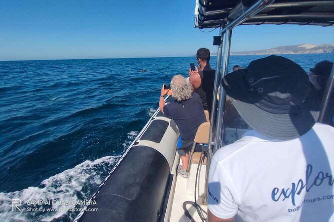 Dolphin Watching and Boat Tour in Sesimbra - Scenic and Recreational Elements
