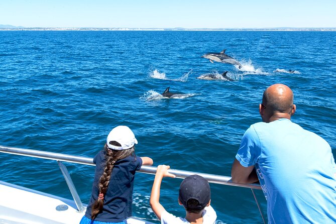 Dolphin Watching and Cave Boat Cruise From Albufeira - Meeting and Pickup Information
