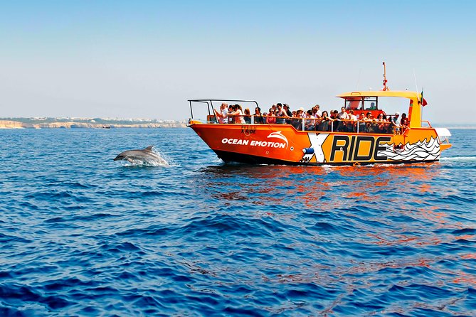 Dolphin Watching and Caves Cruise - Good To Know