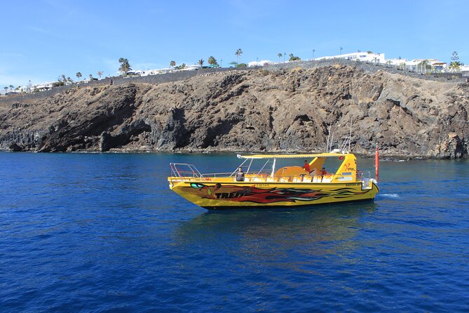 Dolphin Watching Cruise to Lobos Island - Pickup and Transportation