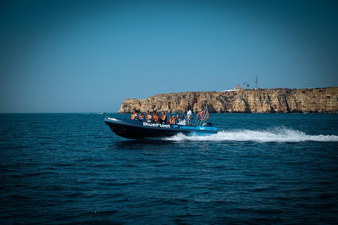 Dolphin Watching From Lagos - Additional Information