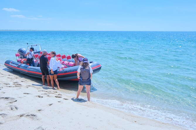 Dolphin Watching in Setúbal - Directions to the Boarding Point for Dolphin Watching