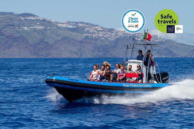 Dolphin - Whale - Turtle - Bird Watching - Positive Customer Reviews
