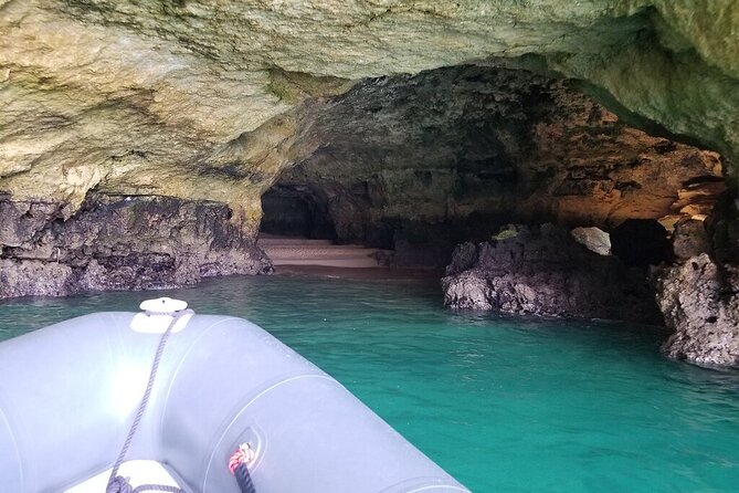 Dolphins and Caves Albufeira Marina Tour - The Sum Up