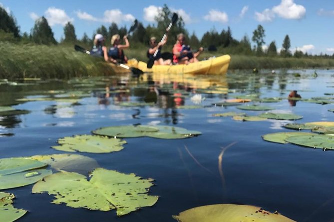 Door County Wetlands Kayak Tour - Instructor-led Guided Tour