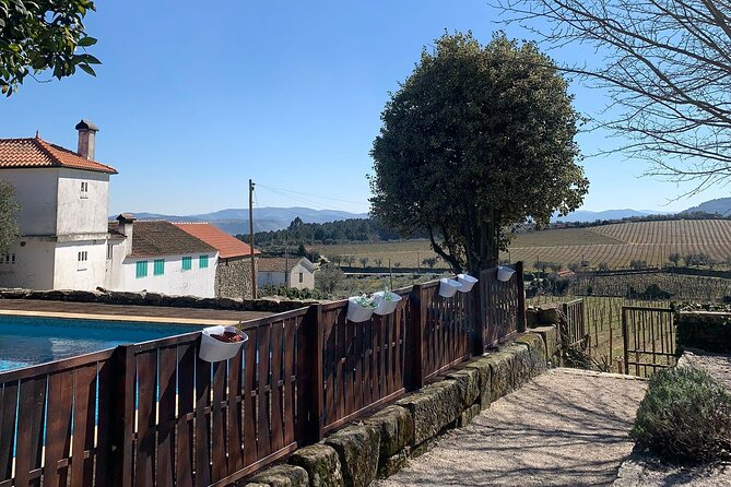 Douro Full Day Tour With Wine Tasting and Lunch - Panoramic Cruise on the Douro River