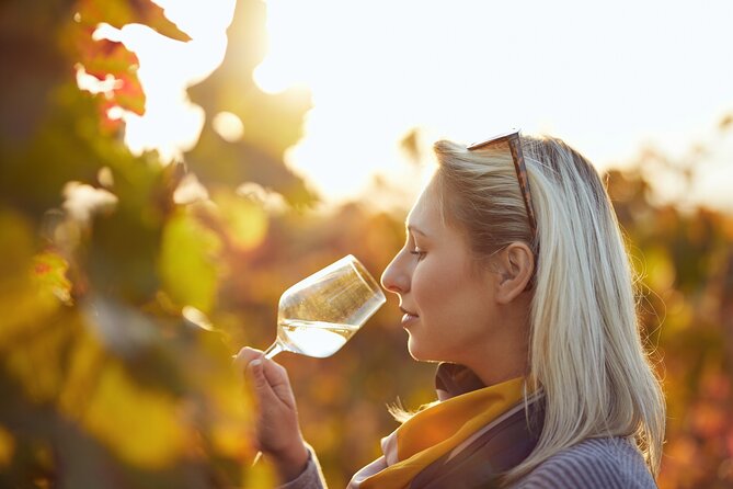 Douro Valley Historical Tour With Lunch, Winery Visit With Tastings and Panoramic Cruise - Scenic Views and Landmarks