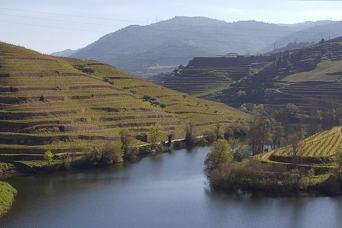 Douro Valley - Private Tour - Tour Information and Group Size