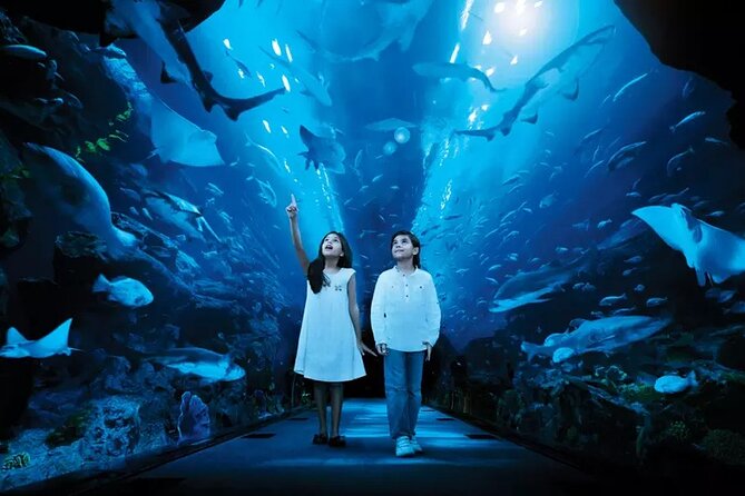 Dubai Aquarium and Underwater Zoo Entry Tickets - Meeting and Pickup