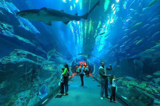 Dubai Aquarium & Underwater Zoo - Reviews of Dubai Aquarium