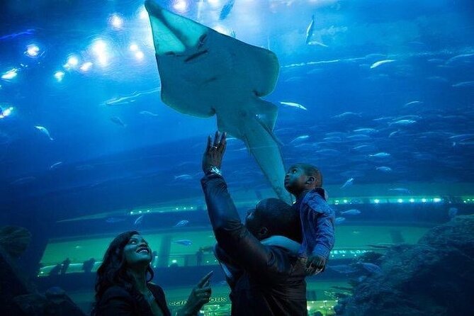 Dubai Aquarium With Glass Bottom Boat Tour - Lowest Price Guarantee