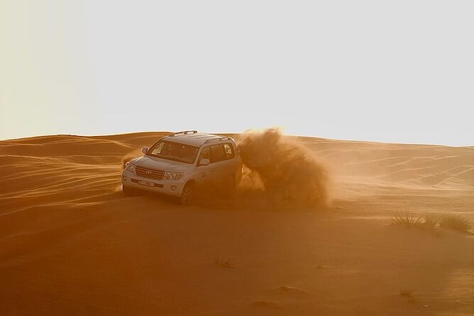Dubai Desert Safari Tour With BBQ Dinner Quide Bike & Camel Ride - Tour Inclusions and Services