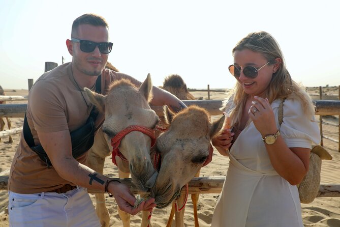 Dubai Evening Heritage Safari by Vintage G Class & Al Marmoom Oasis - Cancellation Policy