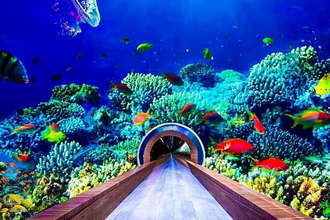 Dubai Mall Aquarium and Underwater Zoo Tickets With Transfers - Directions