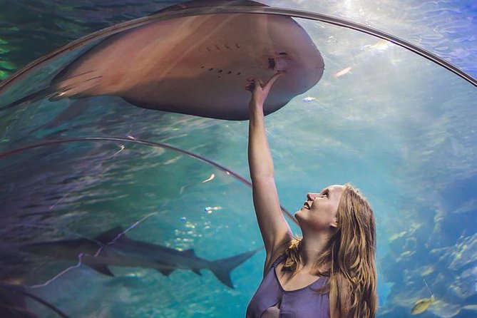 Dubai Mall Aquarium & Underwater Zoo As per Option Selceted - Traveler Photos and Experiences