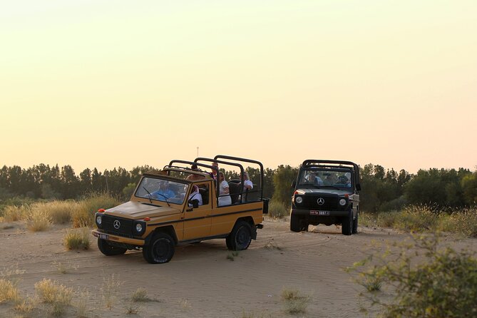 Dubai: Morning Heritage Safari by Vintage G Class & Al Marmoom Oasis - Tour Inclusions and Highlights