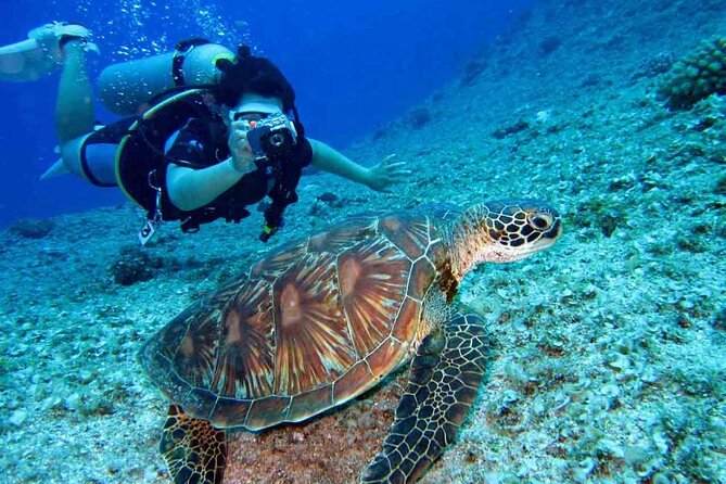 Dubai Scuba Diving Lesson With PADI Instructor and Transfers - Good To Know