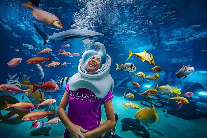 Dubai The Lost Chambers Aquarium Entrance Ticket - Dubai The Lost Chambers Aquarium