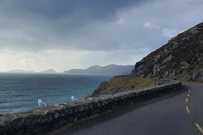 Dublin Airport to Galway ,Private Chauffeur Transfer . - Scenic Views of the Countryside