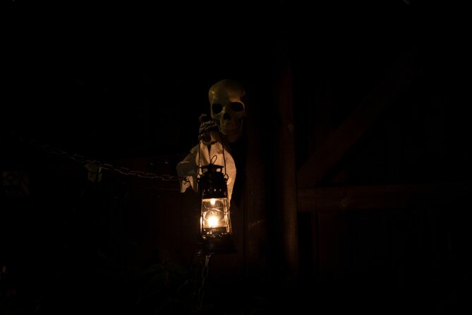 Dublin Historic Ghost Tour - Duration and Accessibility Information