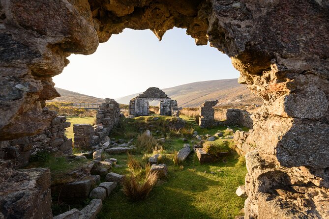 Dublin to County Wicklow & Glendalough Private Day Trip by Car - Tour Details and Inclusions