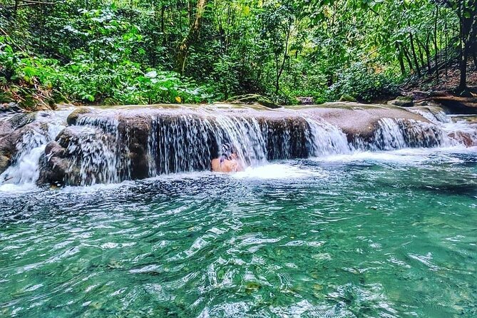 Dunns River Falls & Luminous Lagoon Guided Tour From Montego Bay - Positive Experiences