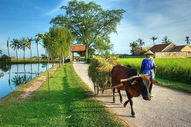 Duong Lam Ancient Village Full Day Private Tour - Itinerary Overview