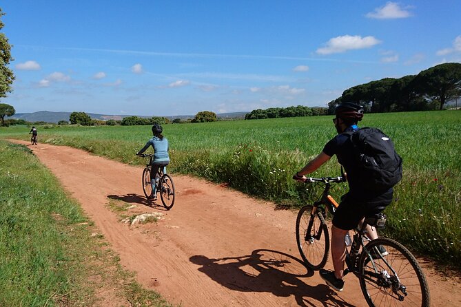 E-Bike & Bodega (Winery Tour) - 20km - Easy Level - Meeting and Pickup