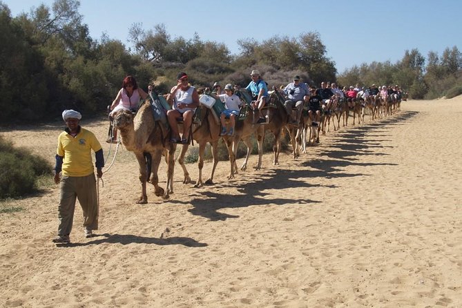 E-Bike City Tour With Camel Safari on the Maspalomas Dunes - Inclusions