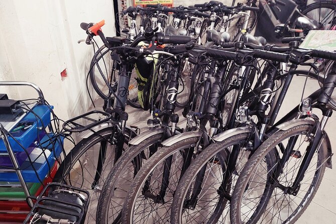 E-Bike Rental in Lucca - Overview of the E-Bike Rental Experience